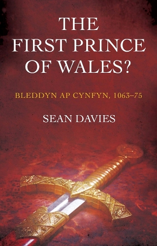 Бумажная книга «The First Prince of Wales?: Bleddyn ap Cynfyn, 1063-75», автор Шон Дейвис - фото №1