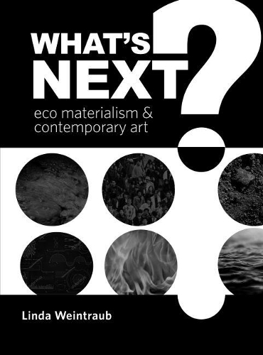 Бумажная книга «What's Next?: Eco Materialism and Contemporary Art», автор Линда Вайнтрауб - фото №1