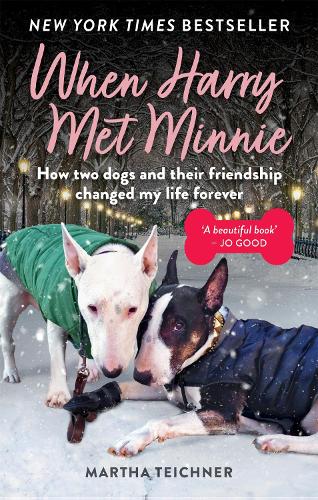 Паперова книга «When Harry Met Minnie: An unexpected friendship and the gift of love beyond loss», автор Марта Тайхнер - фото №1