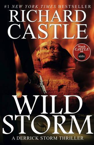 Бумажная книга «Wild Storm (Castle)», автор Ричард Касл - фото №1