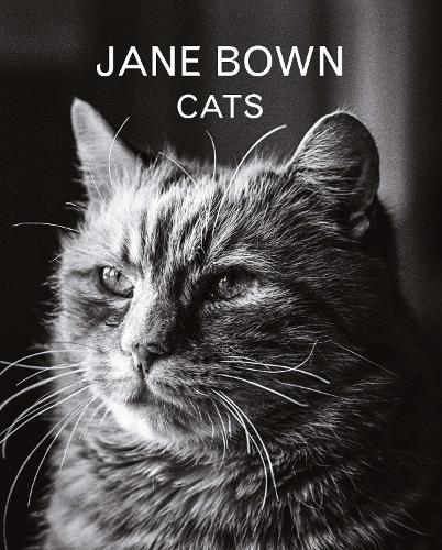 Бумажная книга «Jane Bown: Cats», автор Джейн Боун - фото №1
