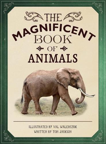 Бумажная книга «The Magnificent Book of Animals», автор Том Джексон - фото №1