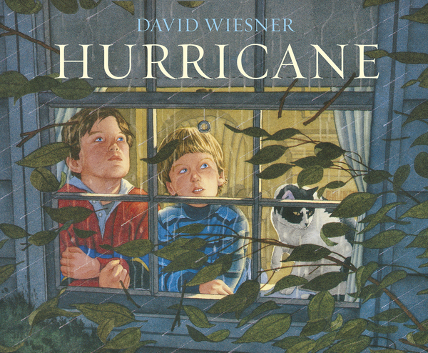 Бумажная книга «Hurricane», автор Дэвид Виснер - фото №1