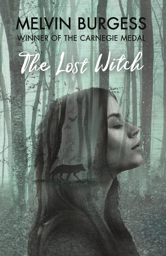 Паперова книга «The Lost Witch», автор Мелвін Бёрджесс - фото №1