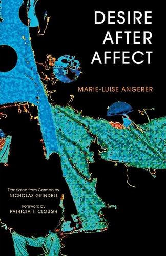 Бумажная книга «Desire After Affect», автор Мари-Луиза Анжерер - фото №1