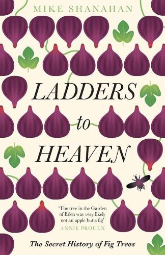 Паперова книга «Ladders to Heaven», автор Майк Шанахан - фото №1