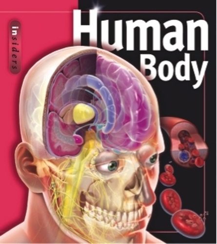 Бумажная книга «Insiders - Human Body», автор Линда Калабрези - фото №1