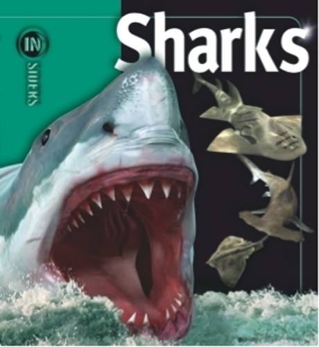 Бумажная книга «Insiders - Sharks», автор Беверли Макмиллан - фото №1