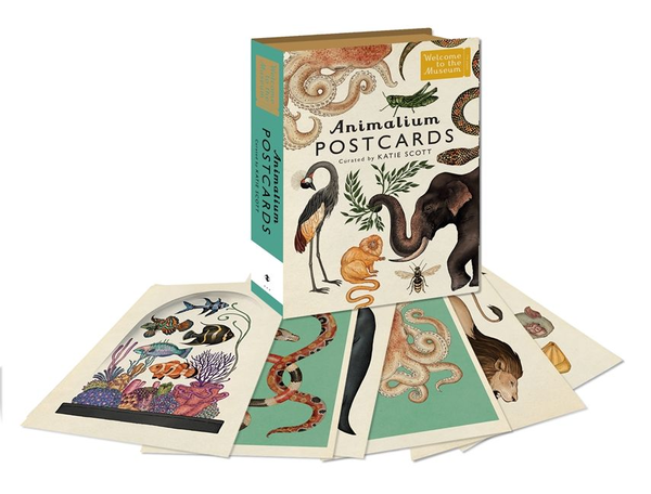Бумажная книга «Animalium Postcards» - фото №1