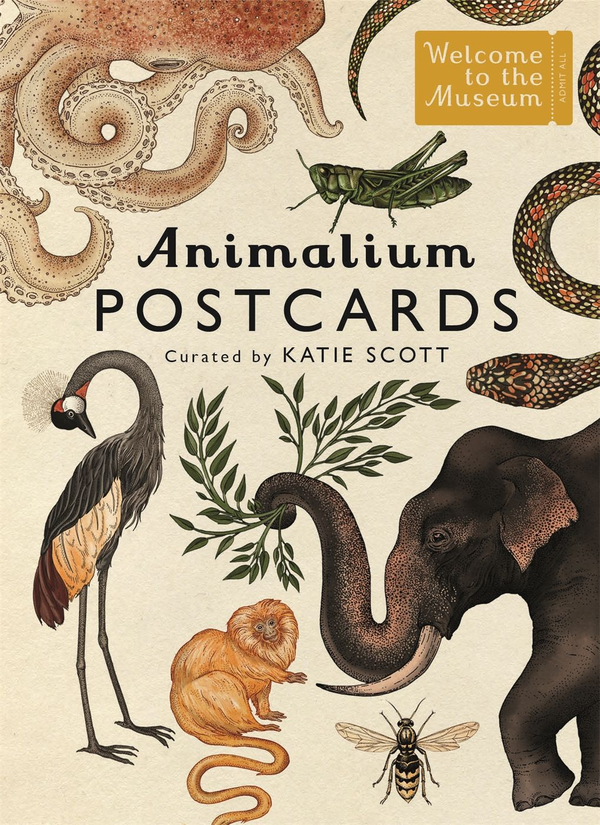 Бумажная книга «Animalium Postcards» - фото №1