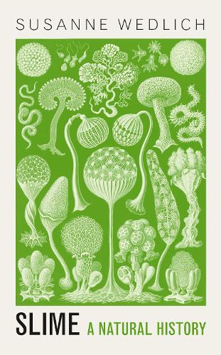 Бумажная книга «Slime: A Natural History», автор Сюзанна Ведлих - фото №1