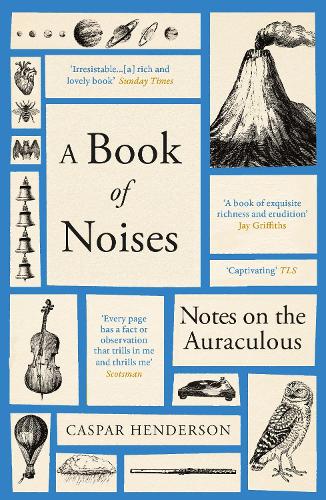 [object Object] «A Book of Noises: Notes on the Auraculous», автор Каспар Хендерсон - фото №1