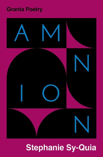 Бумажная книга «Amnion», автор Стефани Си-Квия - фото №1