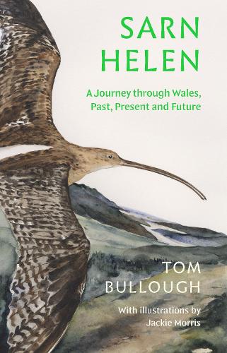 Паперова книга «Sarn Helen: A Journey Through Wales, Past, Present and Future» - фото №1