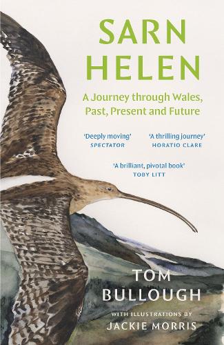 Бумажная книга «Sarn Helen: A Journey Through Wales, Past, Present and Future» - фото №1
