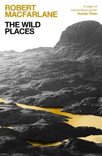 Паперова книга «The Wild Places», автор Роберт Макфарлейн - фото №1