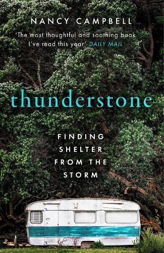 Бумажная книга «Thunderstone: Finding Shelter from the Storm», автор Нэнси Кэмпбелл - фото №1
