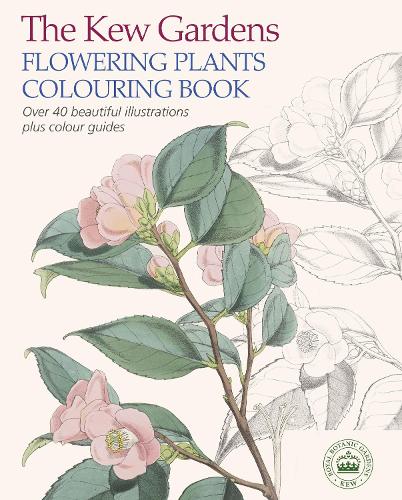 Бумажная книга «The Kew Gardens Flowering Plants Colouring Book: Over 40 Beautiful Illustrations Plus Colour Guides» - фото №1
