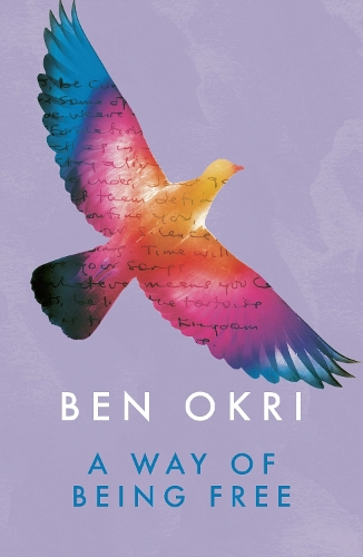 Бумажная книга «A Way of Being Free», автор Бен Окри - фото №1
