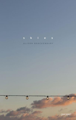 Бумажная книга «Skies», автор Элисон Брекенбери - фото №1