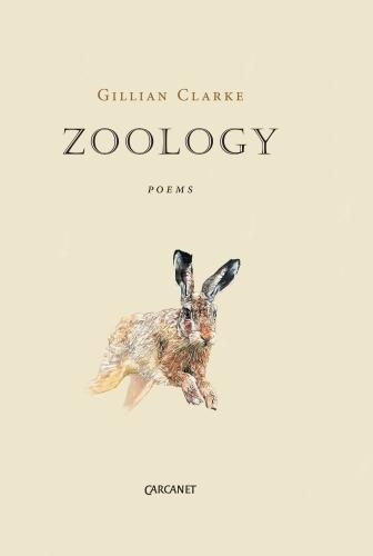 Бумажная книга «Zoology», автор Джиллиан Кларк - фото №1