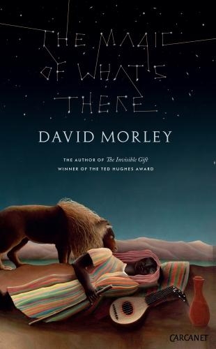 Бумажная книга «The Magic of What's There», автор Дэвид Морли - фото №1