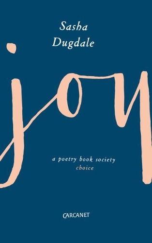 Бумажная книга «Joy», автор Саша Дагдейл - фото №1