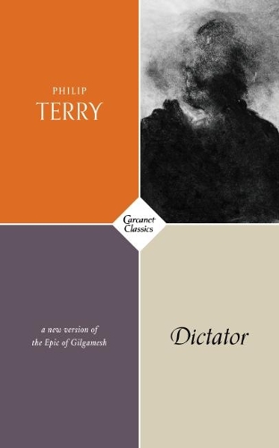 Паперова книга «Dictator», автор Філіп Террі - фото №1