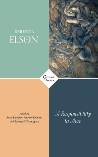 Бумажная книга «A Responsibility to Awe», автор Ребекка Элсон - фото №1