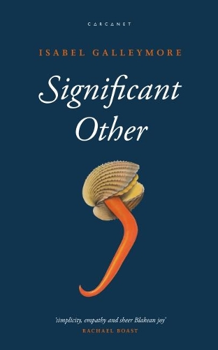 Бумажная книга «Significant Other», автор Изабель Галлеймор - фото №1
