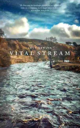Бумажная книга «Vital Stream» - фото №1