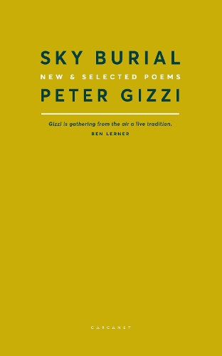 Бумажная книга «Sky Burial: New and Selected Poems», автор Питер Гицци - фото №1