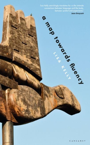 Бумажная книга «A Map Towards Fluency», автор Лиза Келли - фото №1