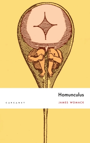 Бумажная книга «Homunculus», автор Джеймс Вумек - фото №1