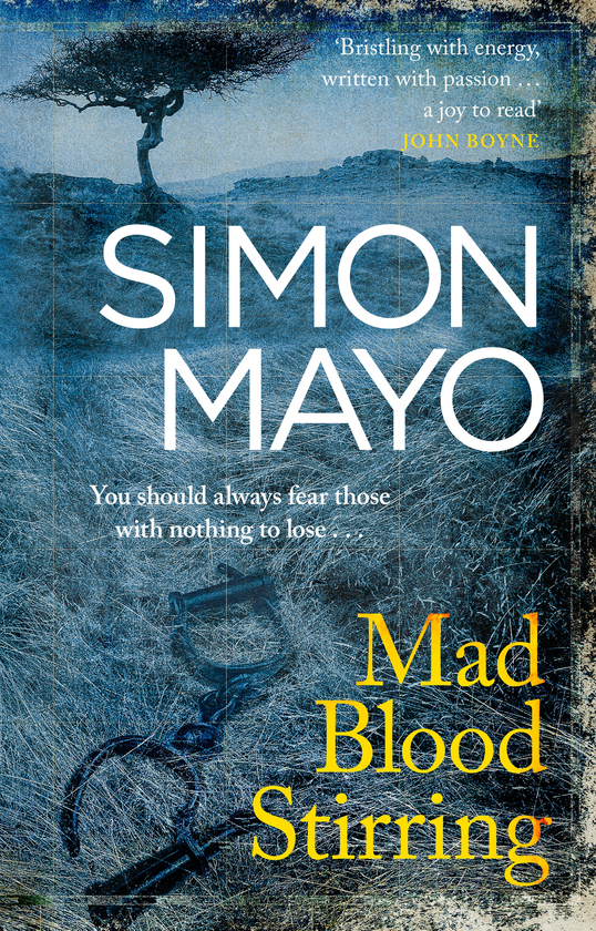 Бумажная книга «Mad Blood Stirring», автор Саймон Майо - фото №1