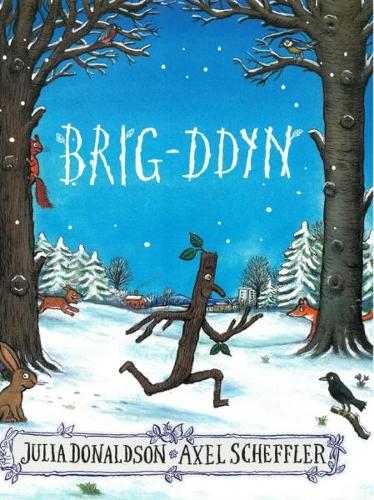 Паперова книга «Brig-Ddyn», автор Джулія Дональдсон - фото №1