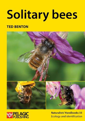 Бумажная книга «Solitary bees», автор Тед Бентон - фото №1