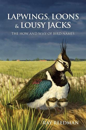 Бумажная книга «Lapwings, Loons and Lousy Jacks: The How and Why of Bird Names», автор Рэй Ридман - фото №1