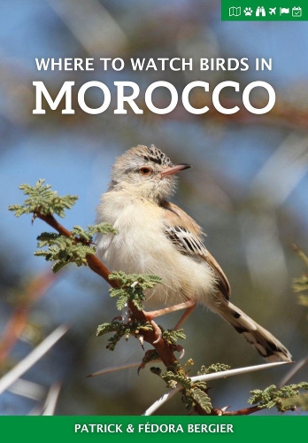Паперова книга «Where to Watch Birds in Morocco», авторів Федора Бержіє, Патрік Берж'є - фото №1