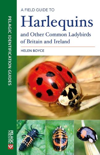 Бумажная книга «A Field Guide to Harlequins and Other Common Ladybirds of Britain and Ireland», автор Хелен Б. К. Бойс - фото №1
