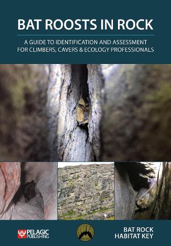 Бумажная книга «Bat Roosts in Rock: A Guide to Identification and Assessment for Climbers, Cavers & Ecology Professionals», автор Bat Rock Habitat Key - фото №1