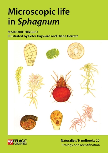 Бумажная книга «Microscopic life in Sphagnum», автор Марджори Хингли - фото №1