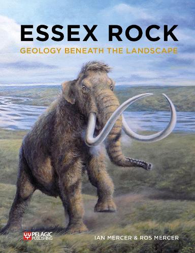 Паперова книга «Essex Rock: Geology Beneath the Landscape», авторів Ян Мерсер, Рос Мерсер - фото №1