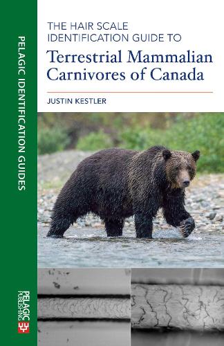 Бумажная книга «The Hair Scale Identification Guide to Terrestrial Mammalian Carnivores of Canada», автор Джастин Кестлер - фото №1