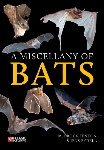 Бумажная книга «A Miscellany of Bats», авторов Йенс Райделл, M. Брок Фентон - фото №1