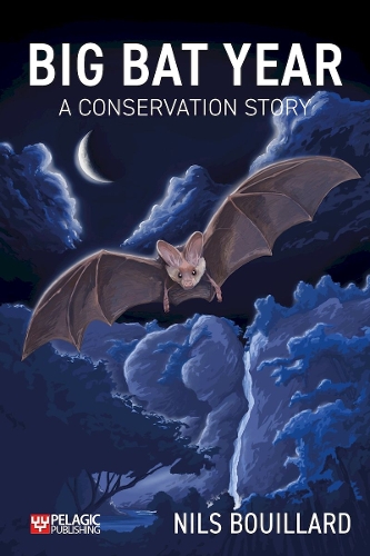 Бумажная книга «Big Bat Year: A Conservation Story», автор Нильс Буйяр - фото №1