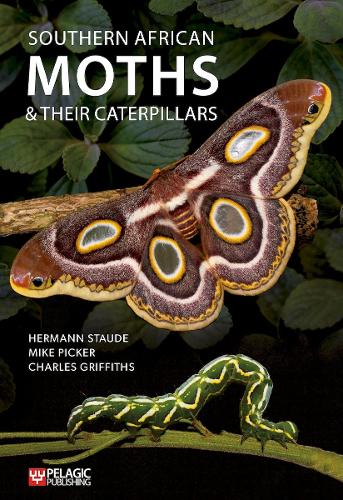 Бумажная книга «Southern African Moths and Their Caterpillars», авторов Чарльз Гриффитс, Герман Штауде, Майк Пикер - фото №1