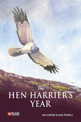 Бумажная книга «The Hen Harrier's Year», автор Ян Картер - фото №1