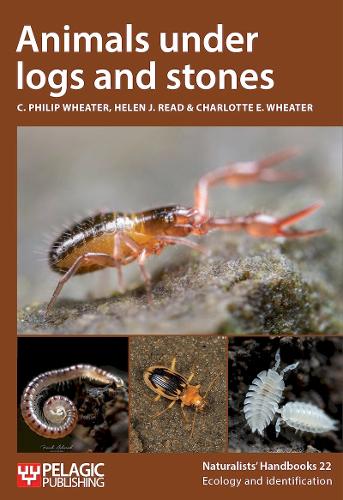 Бумажная книга «Animals under logs and stones», авторов К. Филип Витер, Шарлотта Уитер, Хелен Дж. Рид - фото №1