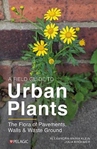 Бумажная книга «A Field Guide to Urban Plants: The Flora of Pavements, Walls and Waste Ground», авторов Александра-Мария Кляйн, Джулия Кромер - фото №1